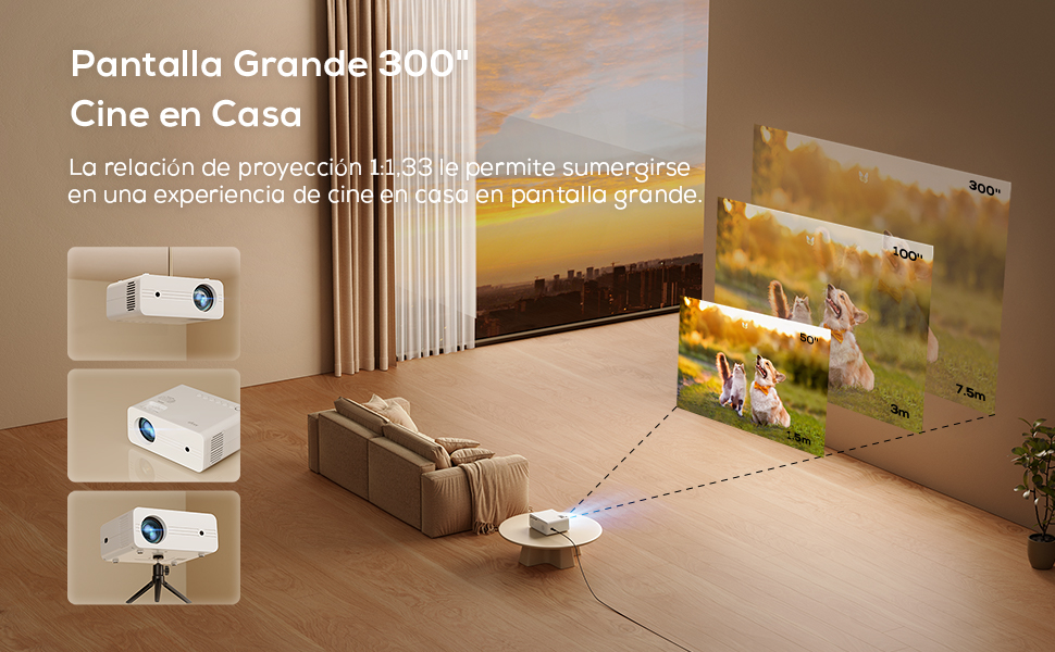 proyector